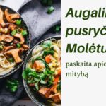 Augalinė mityba Molėtuose: pusryčiai